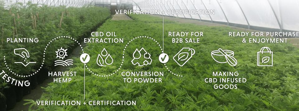 Incredible Edibles process