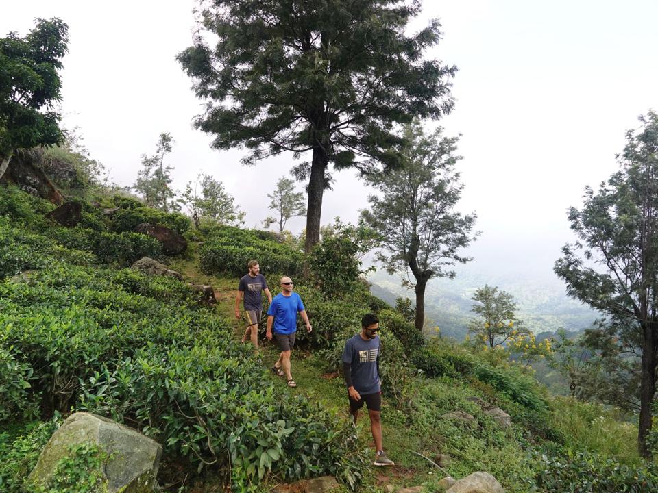 Hiking in Sri Lanka.
