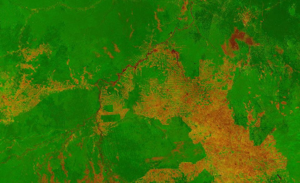 Rondonia deforestation