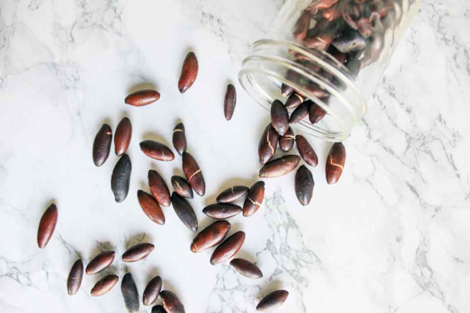 Baru seeds