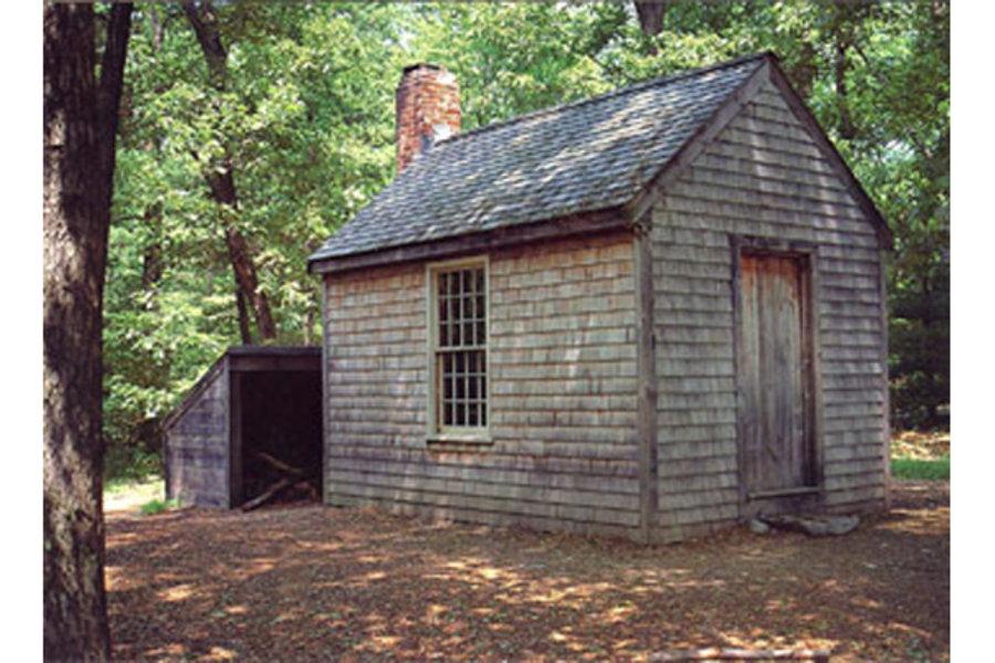 Warren Buffett Vs. Henry David Thoreau