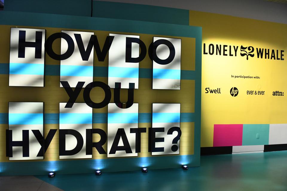 entrance to Lonely Whale's Museum of Plastic, bold lettering against a backlit wall that says ″How Do You Hydrate?″