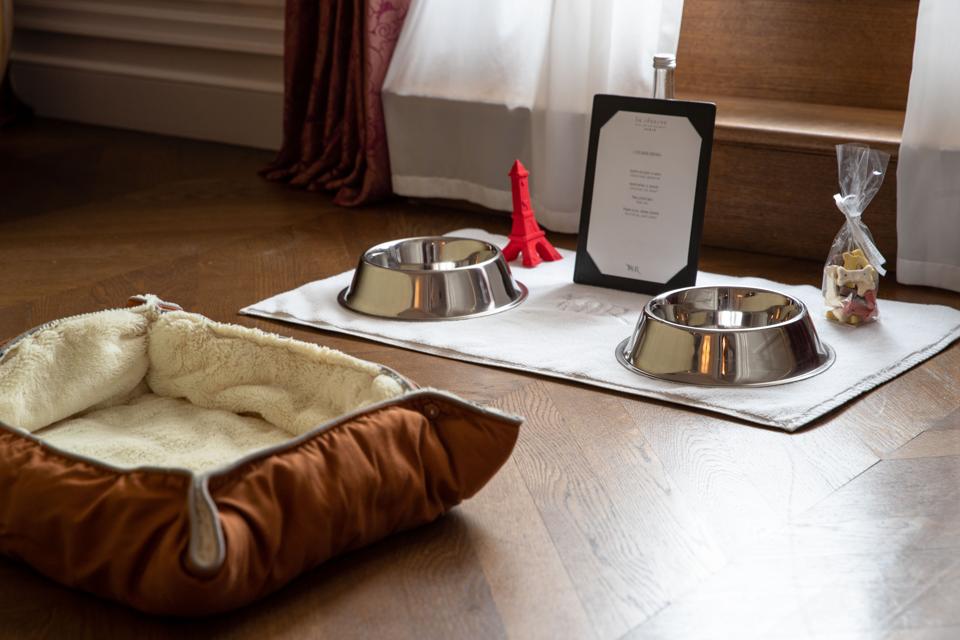 The Best PetFriendly Hotels In Paris