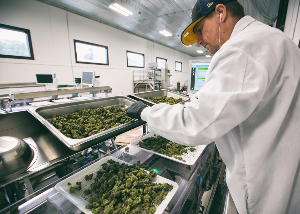 Flow Cannabis Institute