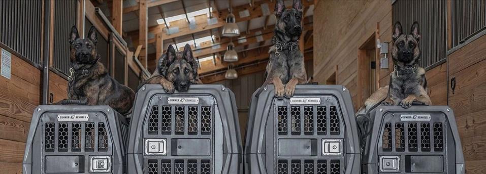 gunner dog crate