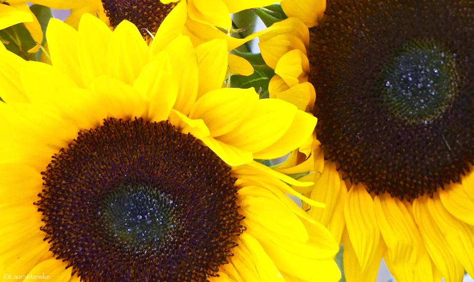 Pin on my pins 50+ Reasons To Love Canada's Friendly Capital — Oh Ottawa!