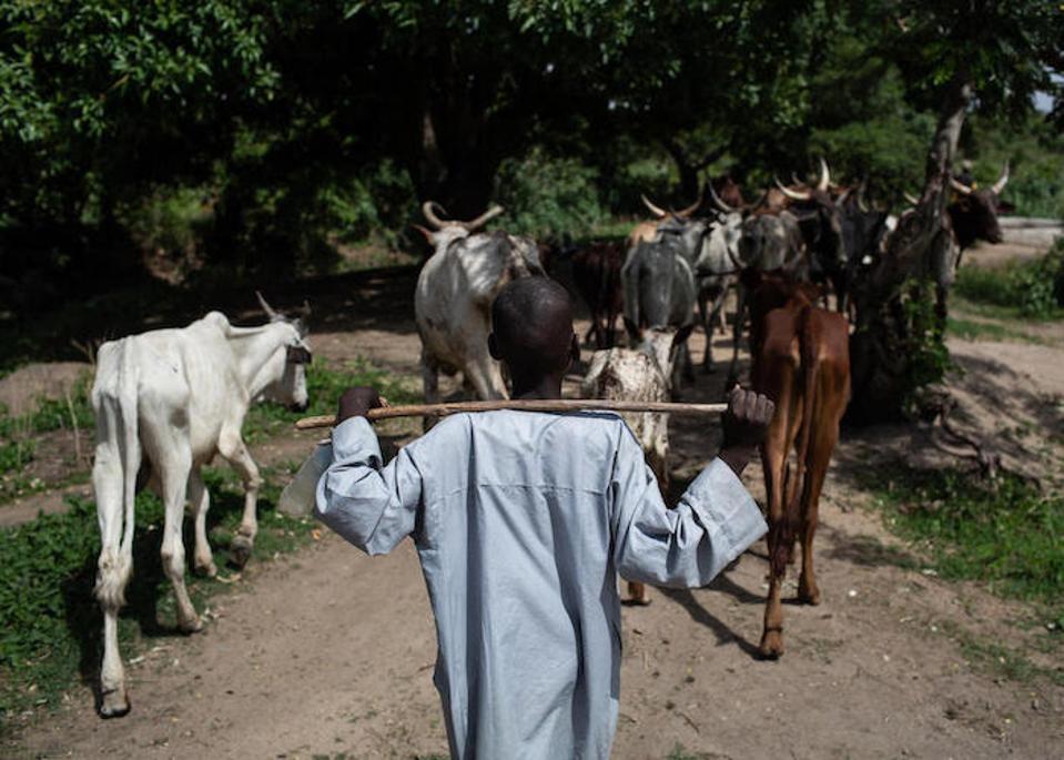 Si Bouba ay wala sa paaralan mula nang siya ay nakaligtas sa isang pag-atake ng Boko Haram sa kanyang nayon, Mabas, sa Cameroon dalawang taon na ang nakalilipas. Ngayon siya ay bumalik sa pag-aaral gamit ang isang programa ng suportang radikal na suportado ng UNICEF.