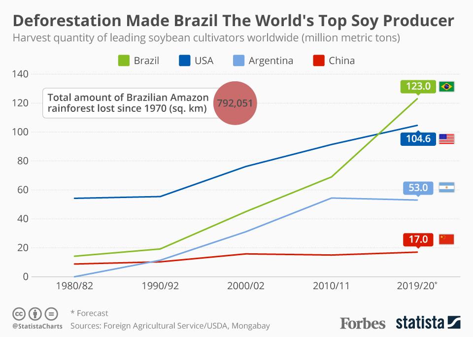 Deforestation Helped Make Brazil The World S Top Soy Producer Infographic Deforestation Helped Make Brazil The World S Top Soy Producer Infographic