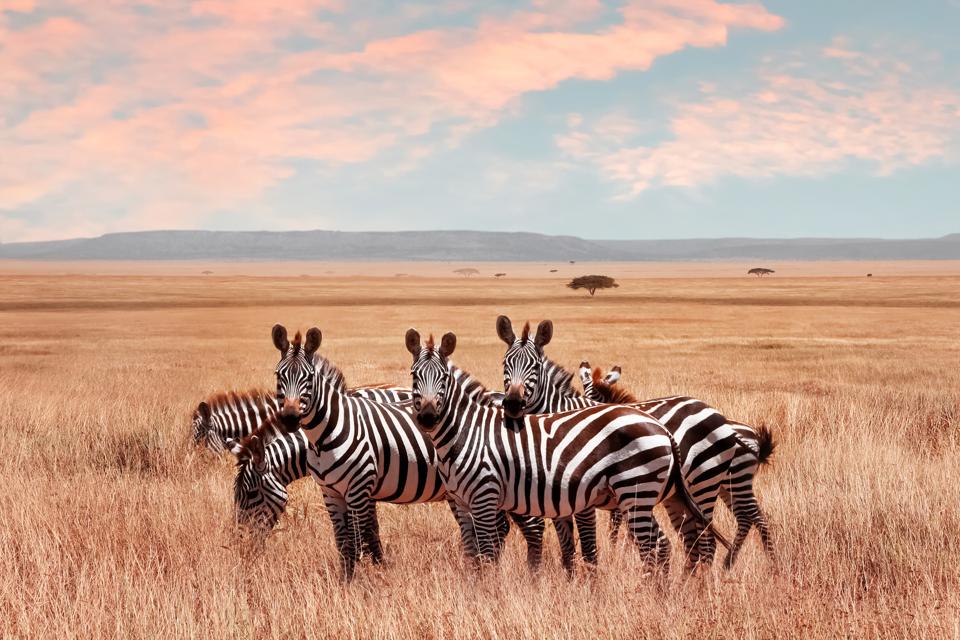 Kenya