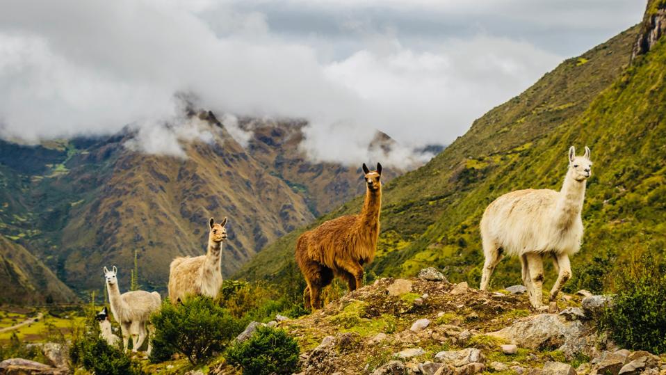 Peru