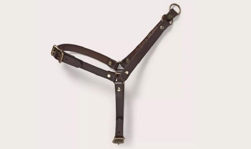 dog harness