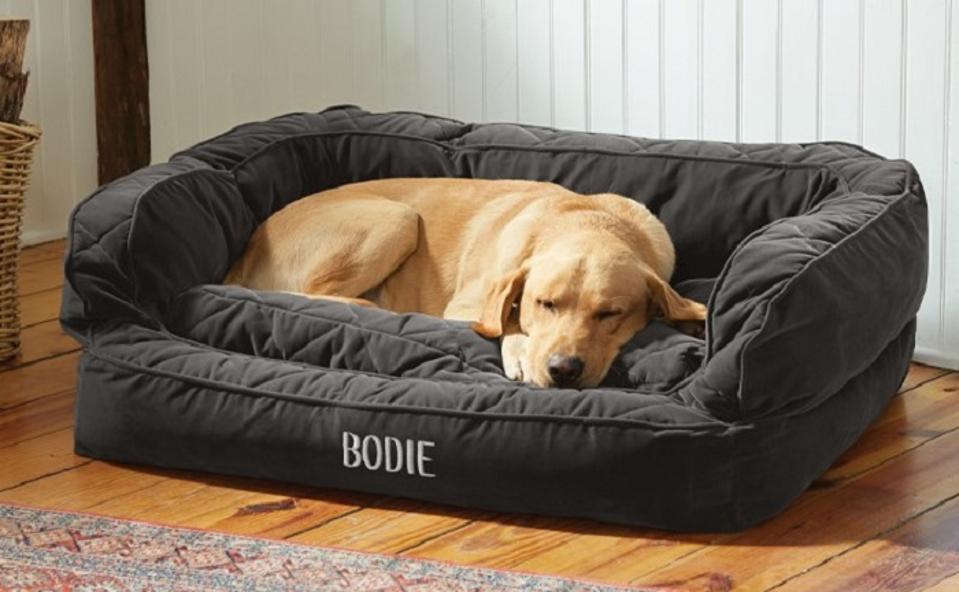 The Best Dog Beds For Home Travel And More