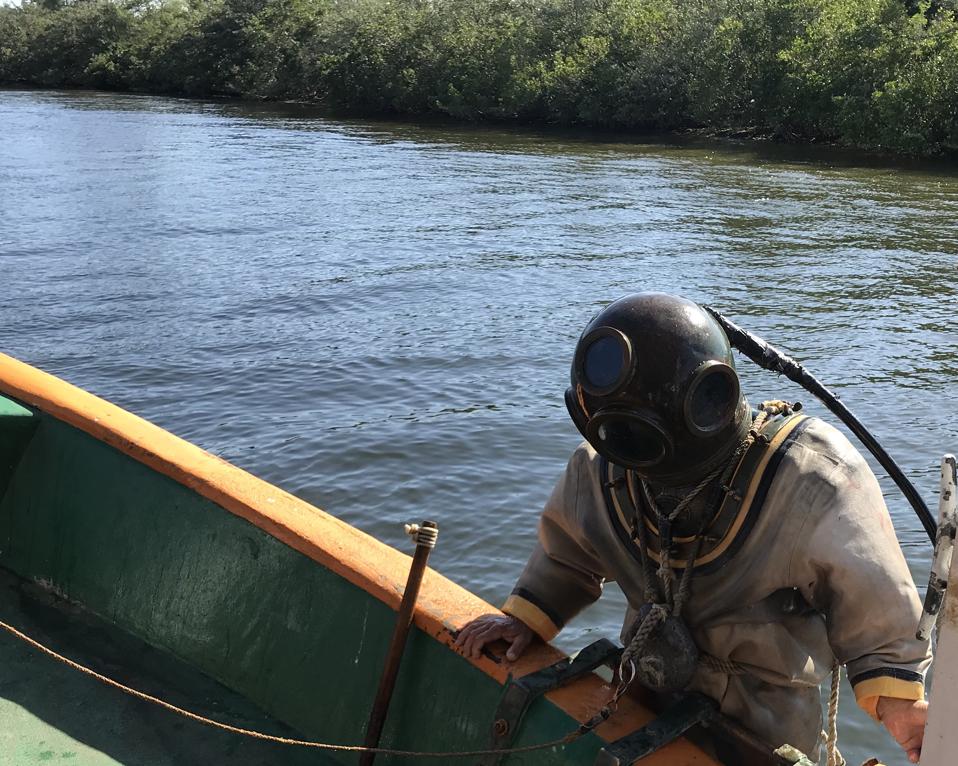 sponge diving boat tour tarpon springs