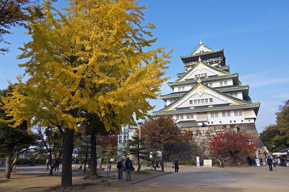 Château d'Osaka en automne