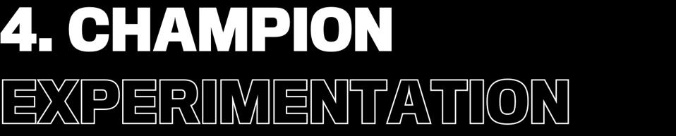 4. Champion experimentation