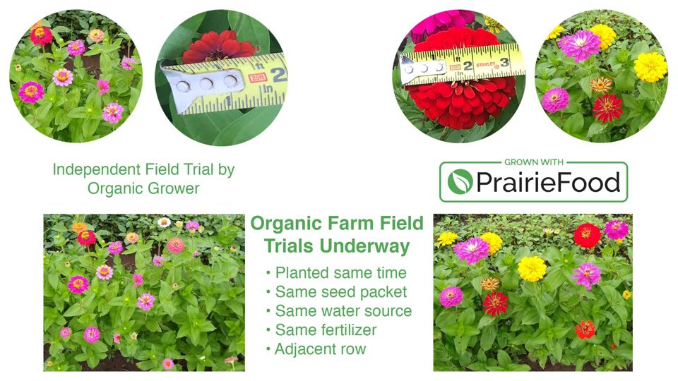 Flowers fed by PrairieFood