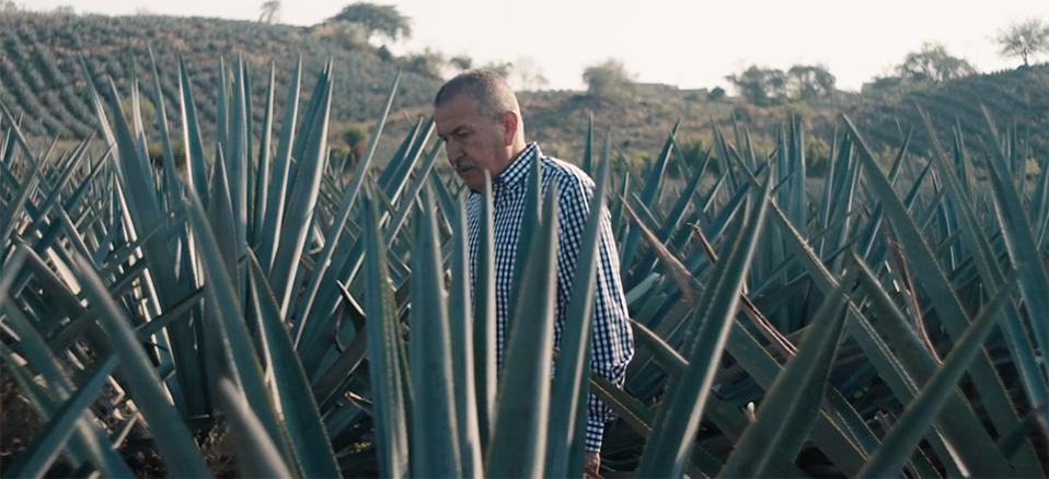 Augustine-Sanchez-master-distiller-Secondary