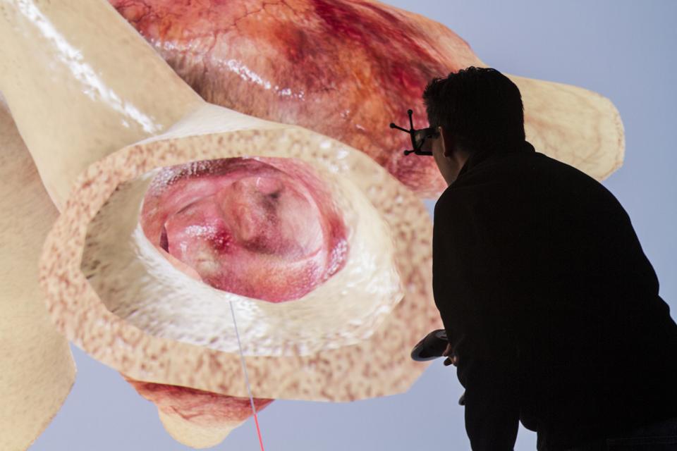 Person viewing images in the Living Heart Project