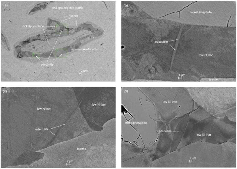 Images taken with a scanning electron microscope of a section of the Wedderburn meteorite showing various nickel-iron mineral grains with inclusions of the new iron-carbide mineral edscottite.