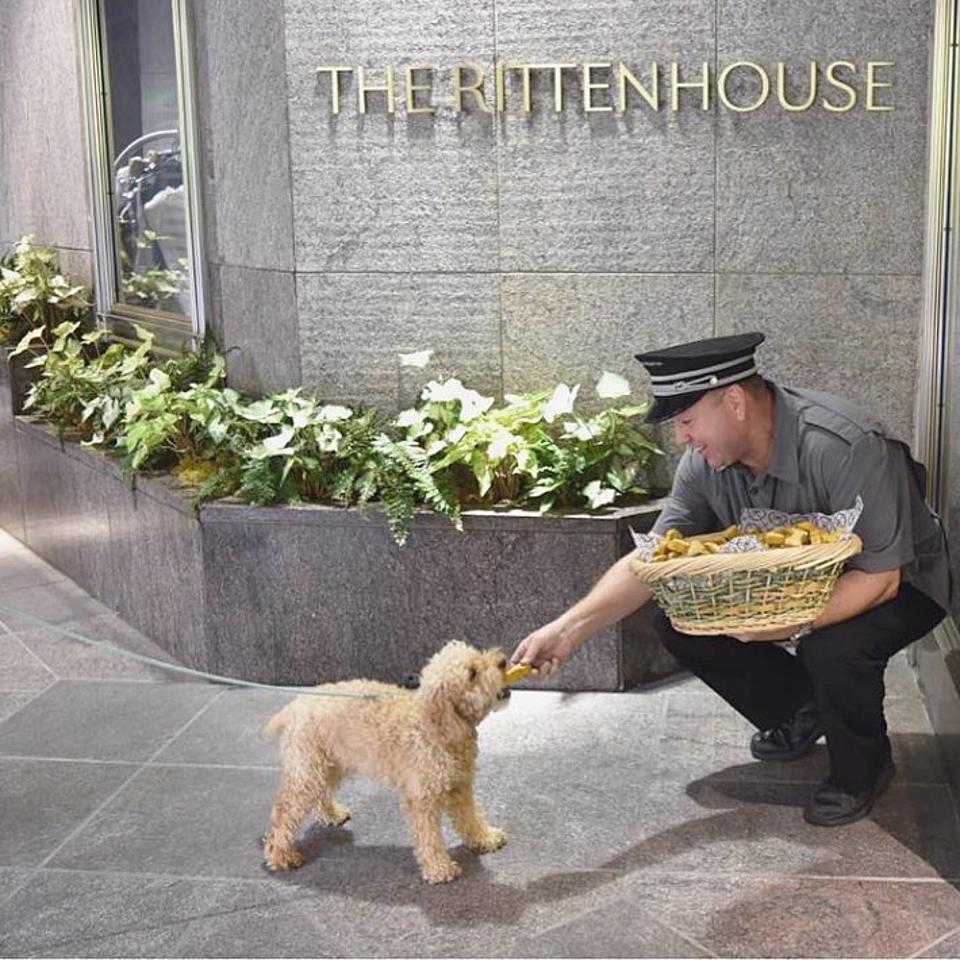 The Best PetFriendly Hotels In Philadelphia