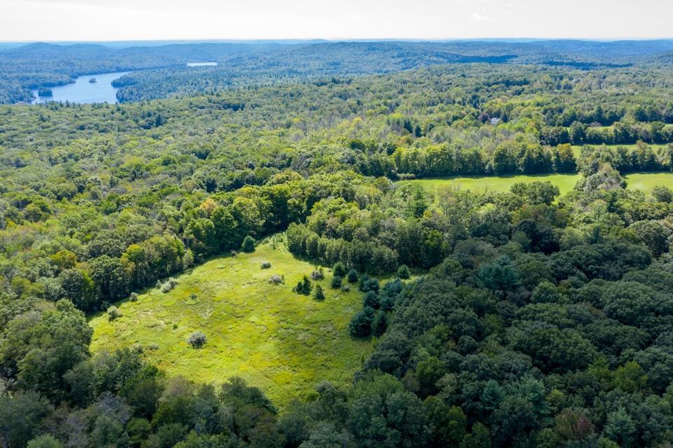 Author Philip Roth’s Sprawling Connecticut Estate Listed For $2.925 Million