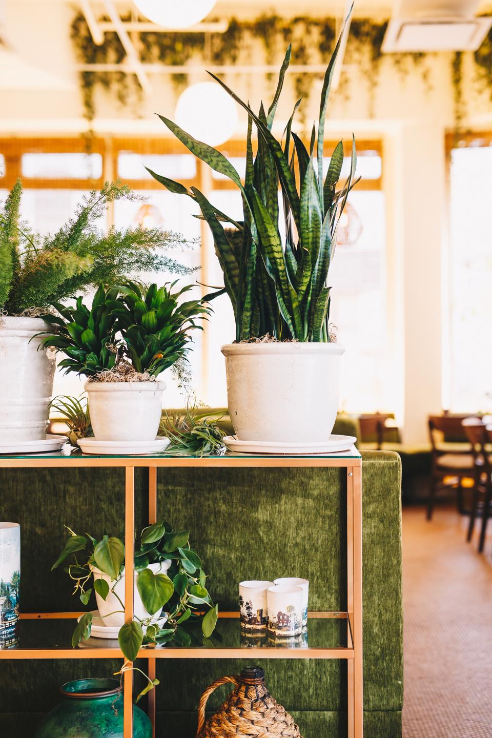 Farmacy Restaurant