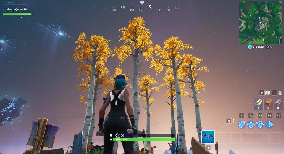 Fortnite