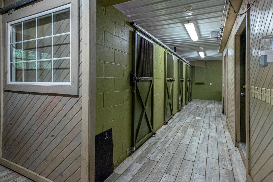 There are climate-controlled kennels that have both air conditioning and heat.