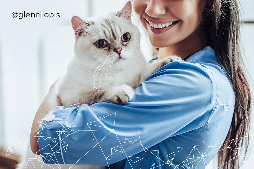 Pet Care