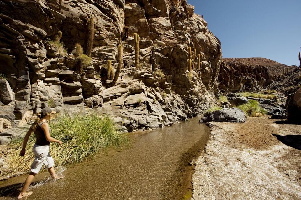 Hiker at Explora Atacama