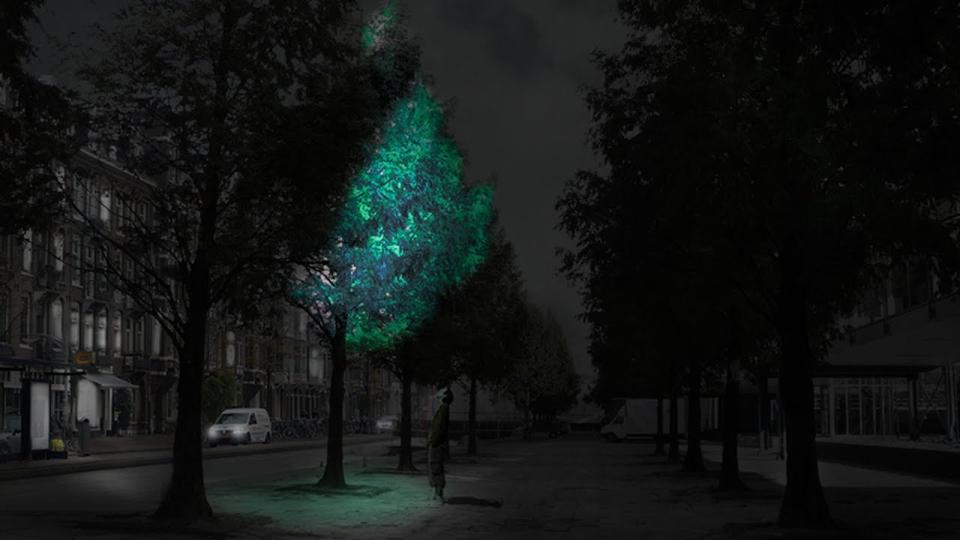 Imagine rather than streetlights you could have bioluminescent trees. Synthetic biology provides many possibilities for sustainable cities reinvented and designed by nature.