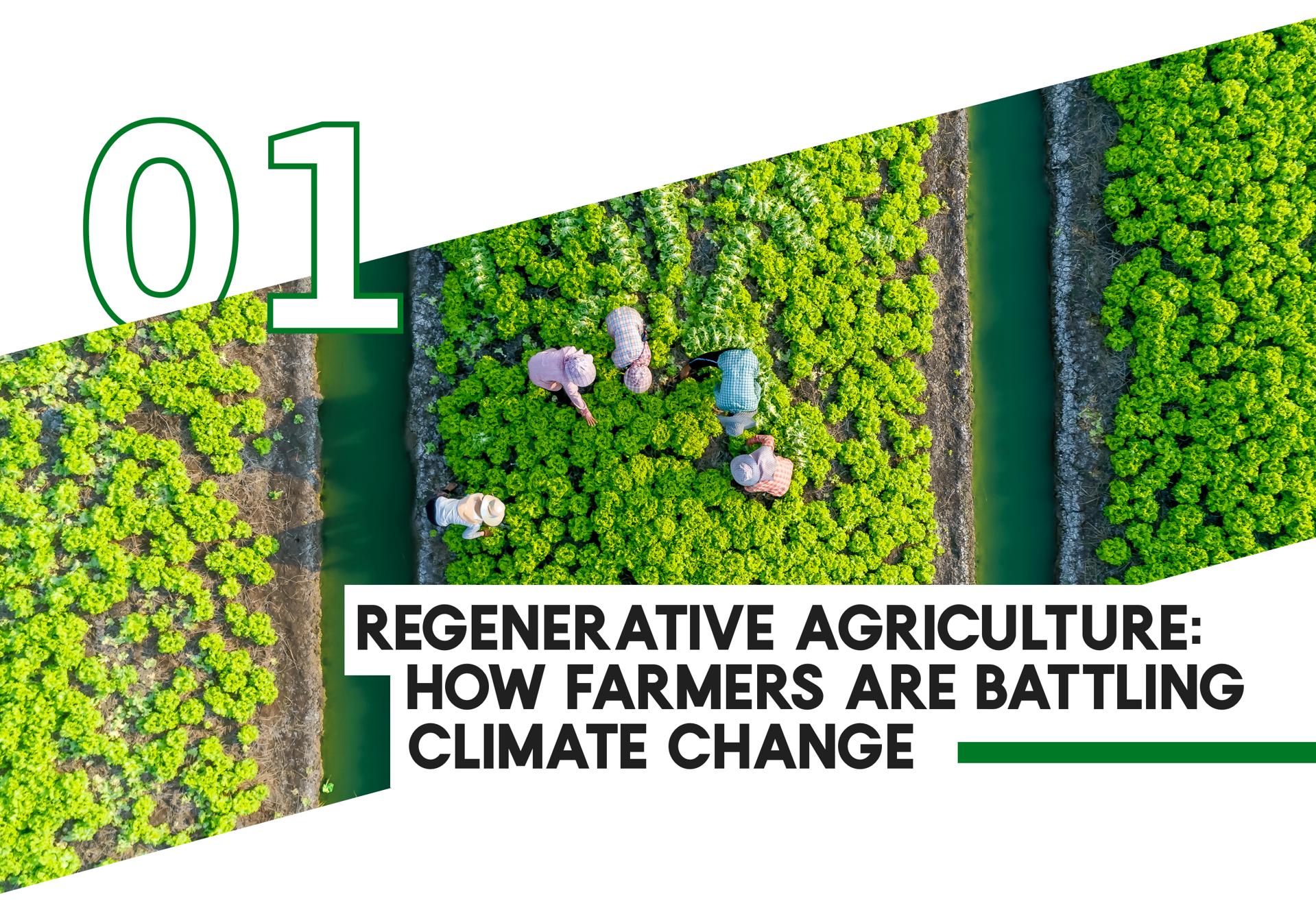 1 Regenerative Agriculture: How Farmers Are Battling Climate Change