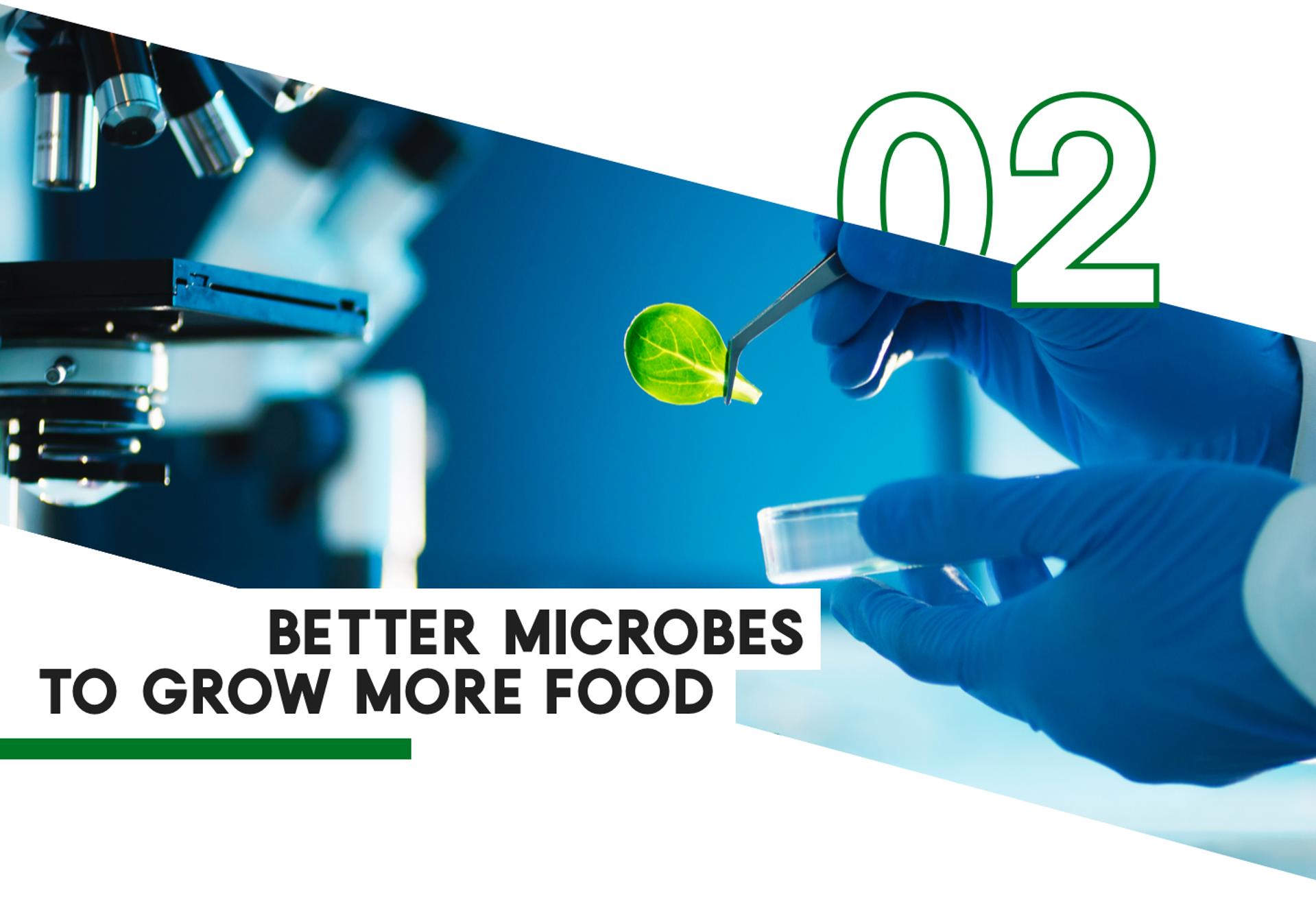 2 Better Microbes To Grow More Food