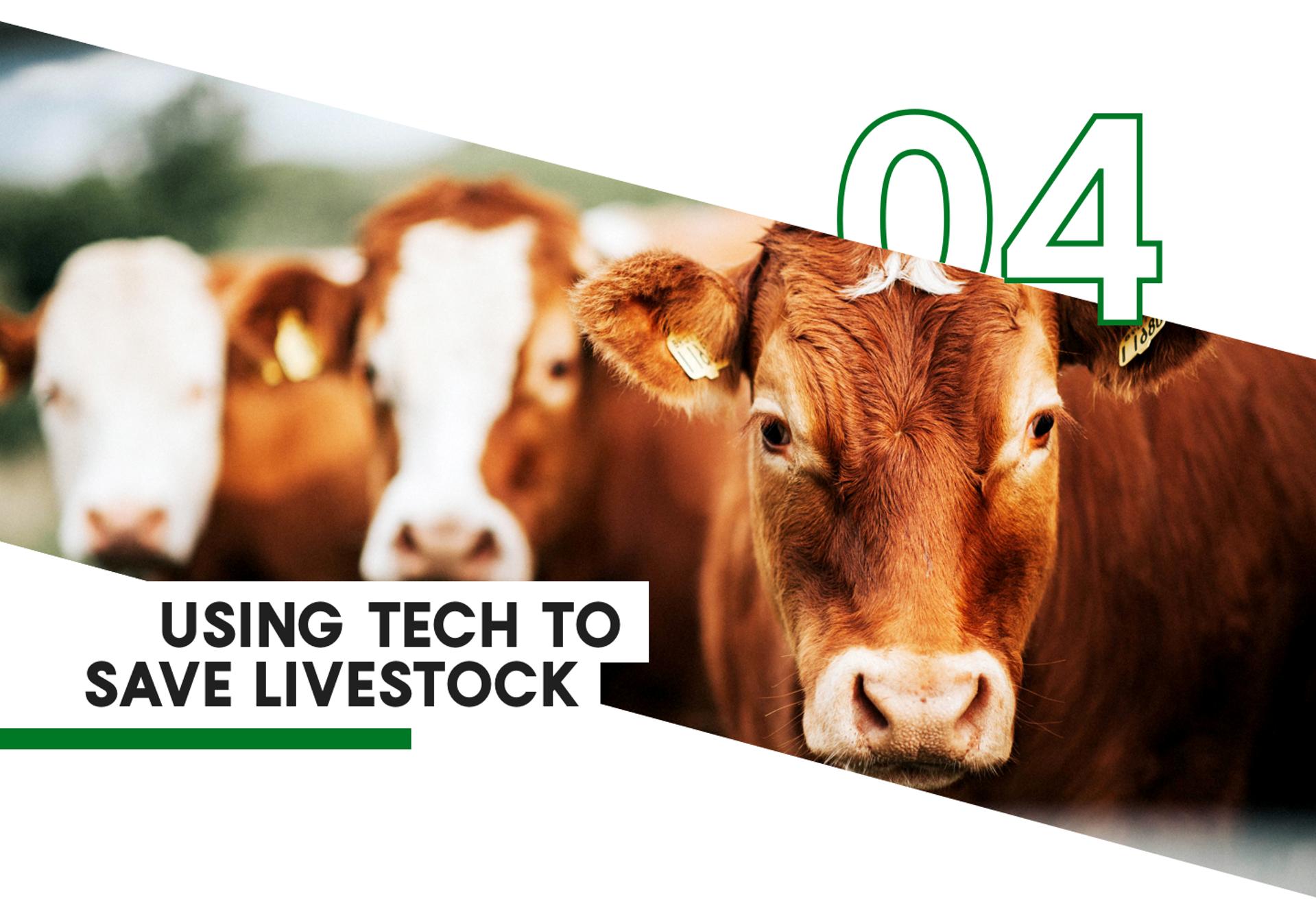 4 Using Tech to Save Livestock