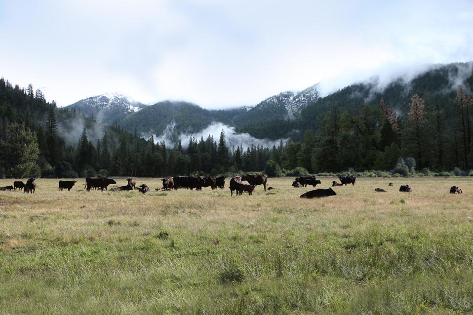 Genesee Valley Ranch