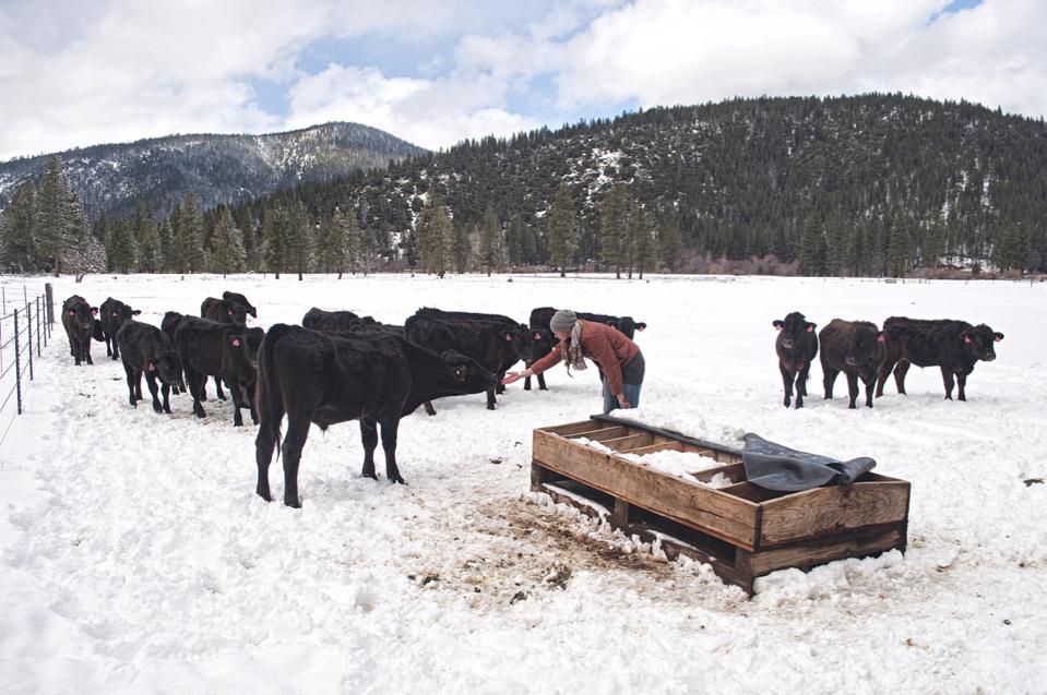 Genesee Valley Ranch