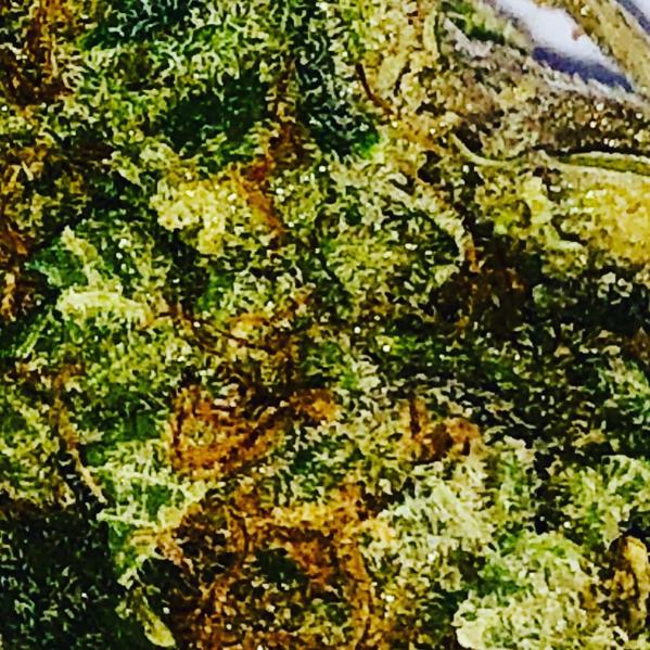2019 Cannabis Trends- What Is Hot In The Industry