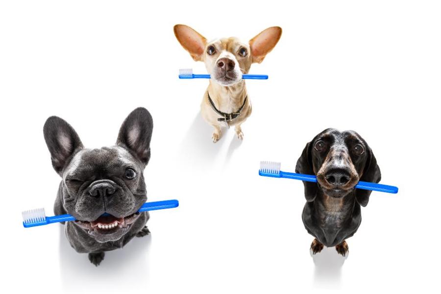5 Tips For Leveraging Humor To Build Better Consumer Experiences