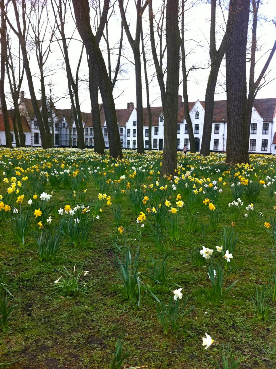 bruges beguinage