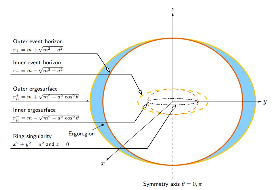 The exact solution for a black hole with both mass and angular momentum was found by Roy Kerr in 1963. Instead of a single event horizon with a point-like singularity, we get inner and outer event horizons, ergospheres, plus a ring-like singularity.