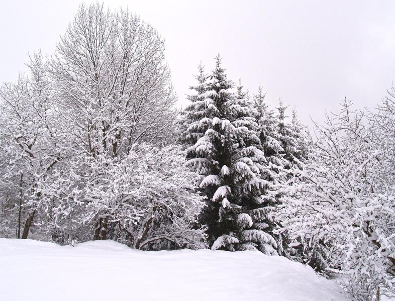 Are We Heading For Another AI Winter Soon?