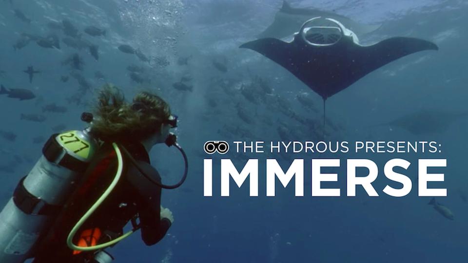 Immerse cover picture of a diver under a manta ray