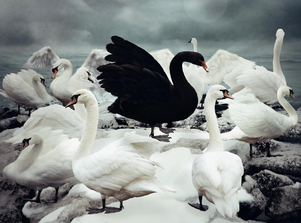 Risk Management And Black Swan Events