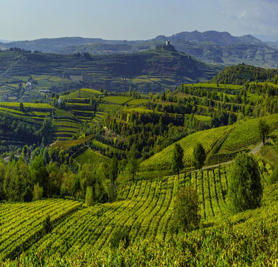 Soave - Regaining Its Prominence