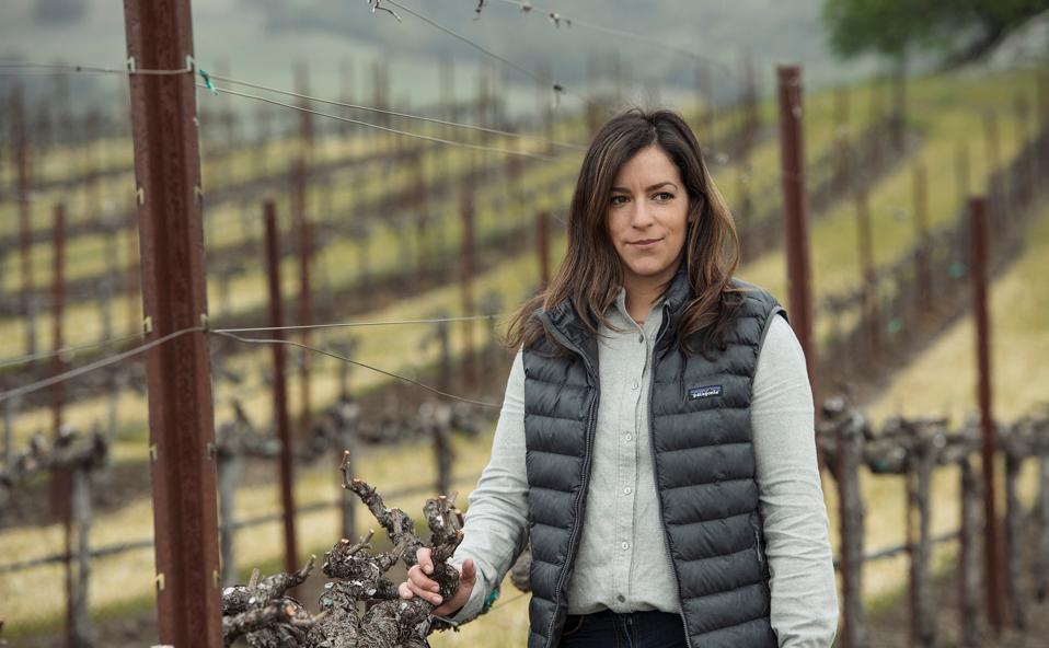 generational winemaking, Sonoma County, wine country