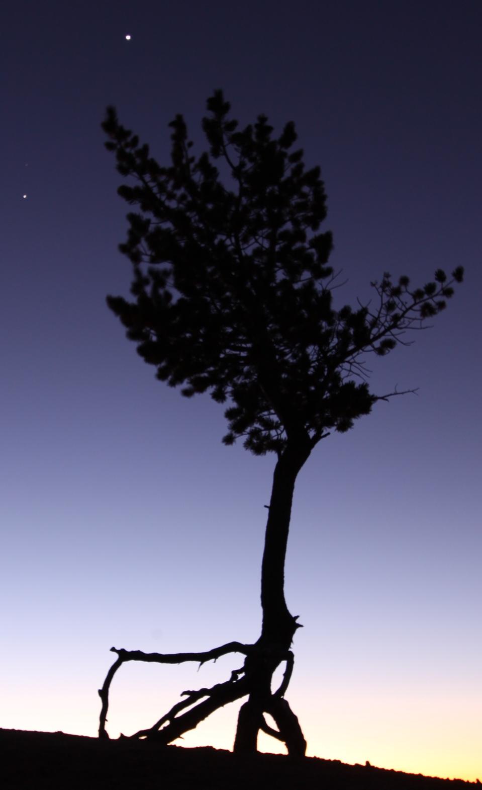 Venus and Jupiter from Bryce Canyon.