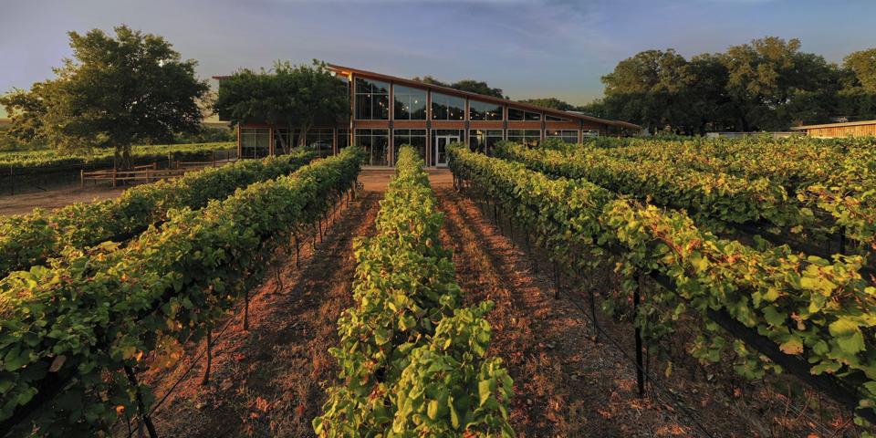 Austin S Urban Winery Handcrafting Premium Approachable Wine