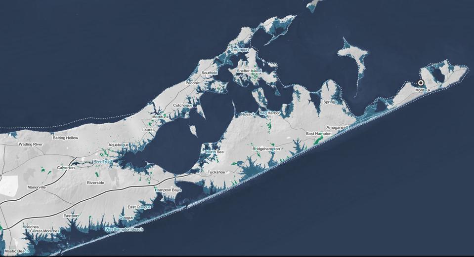 Hamptons flooded in blue