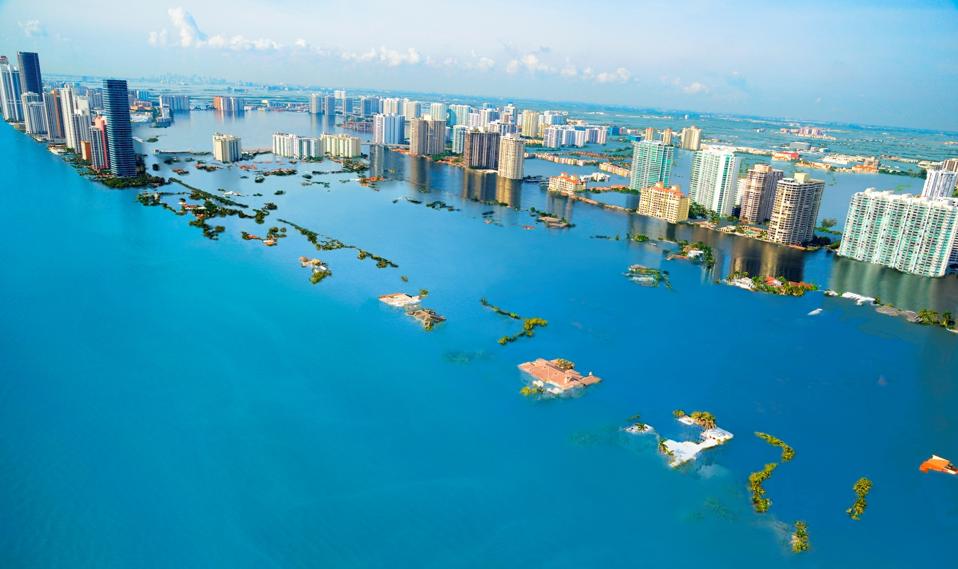 Miami Beach in 2050