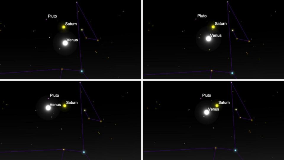 Twilight on Monday, December 9 through Thursday, December 12 will be the best evenings to see brilliant Venus shining close to Saturn from the northern hemisphere. From top-left, clockwise: Monday, Dec 9 (2.4° apart), Tuesday (1.8°), Wednesday (1.9°) and Thursday (2.5°).